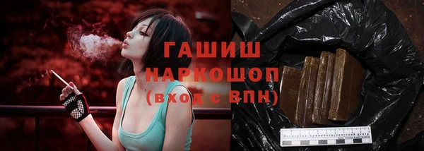 индика Тихвин