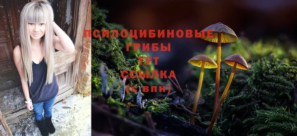 тгк Армянск